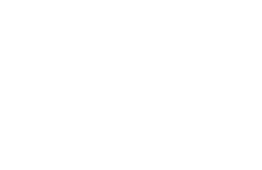 Allflex logo